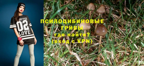 эйфоретик Алексеевка