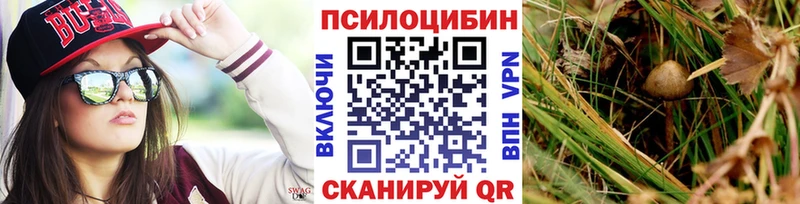 KRAKEN   Миньяр  это состав  Псилоцибиновые грибы Magic Shrooms 